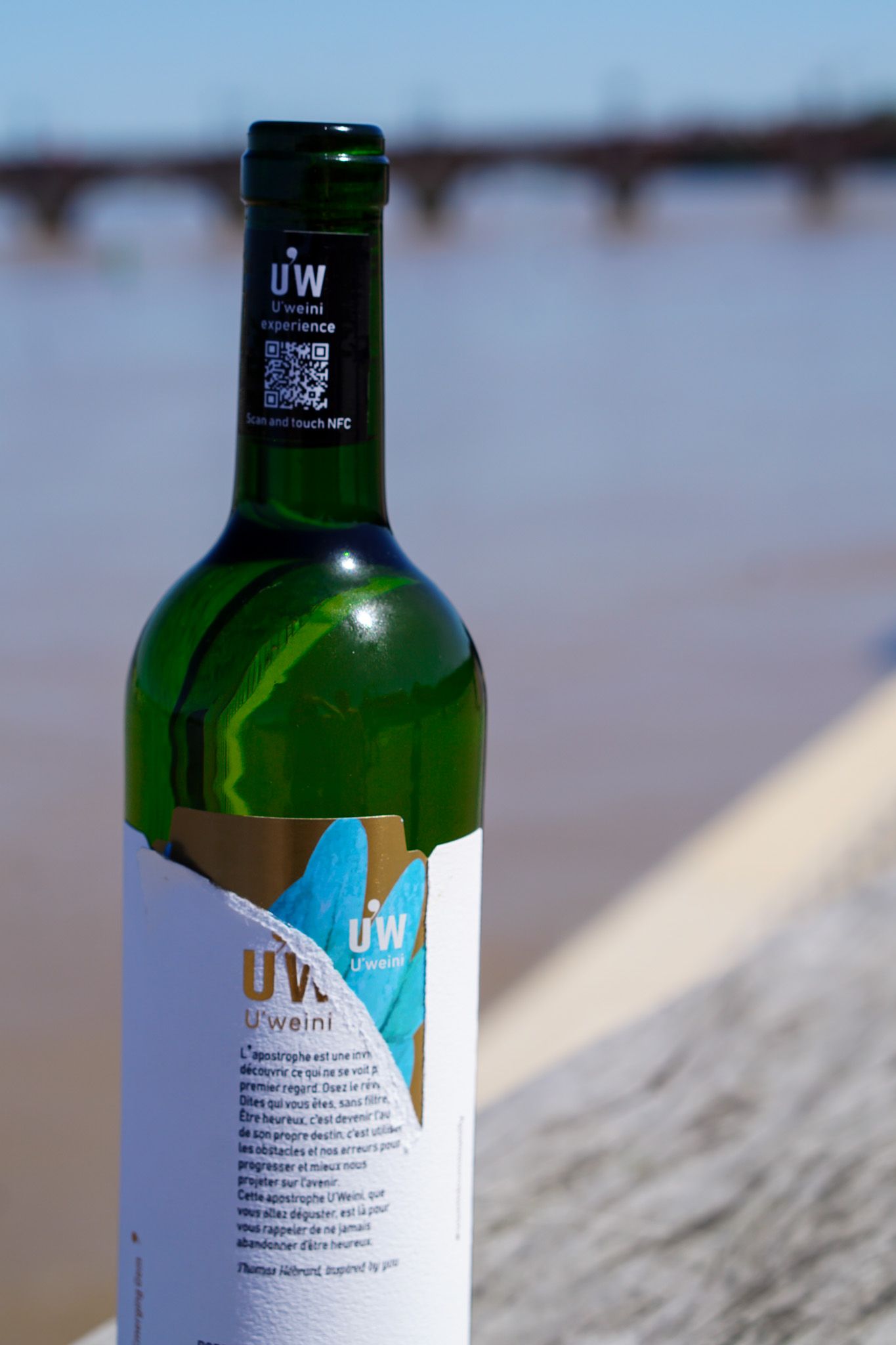 A scenic vineyard featuring neatly arranged rows of lush green vines under a clear blue sky.